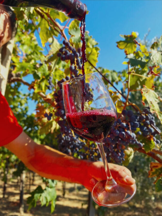 Foto 3 - Vino versato